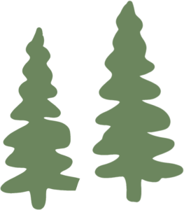 Zeichnung zweier Bäume